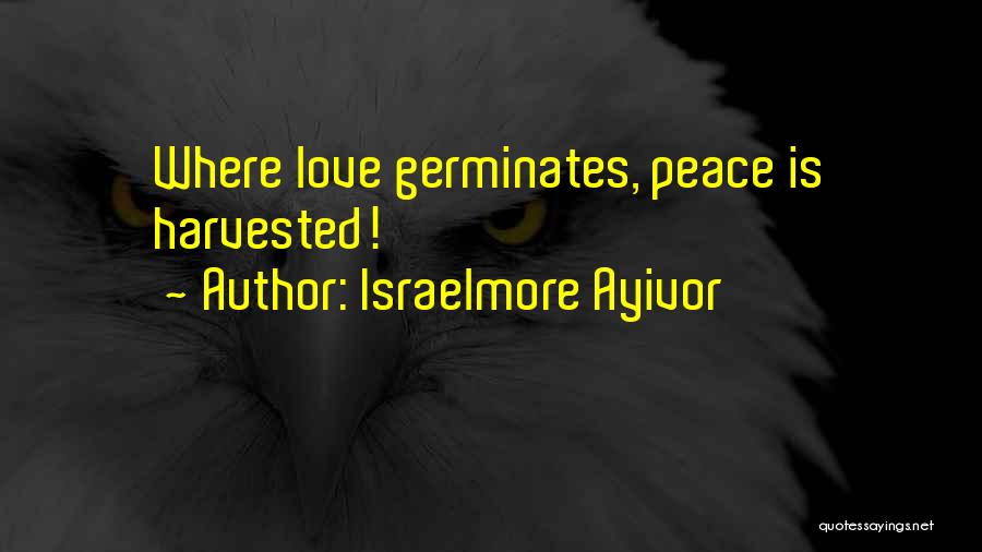 Israelmore Ayivor Quotes: Where Love Germinates, Peace Is Harvested!