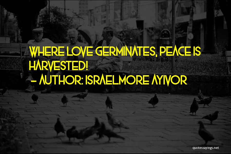 Israelmore Ayivor Quotes: Where Love Germinates, Peace Is Harvested!
