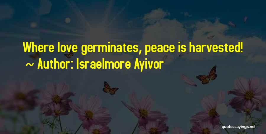 Israelmore Ayivor Quotes: Where Love Germinates, Peace Is Harvested!
