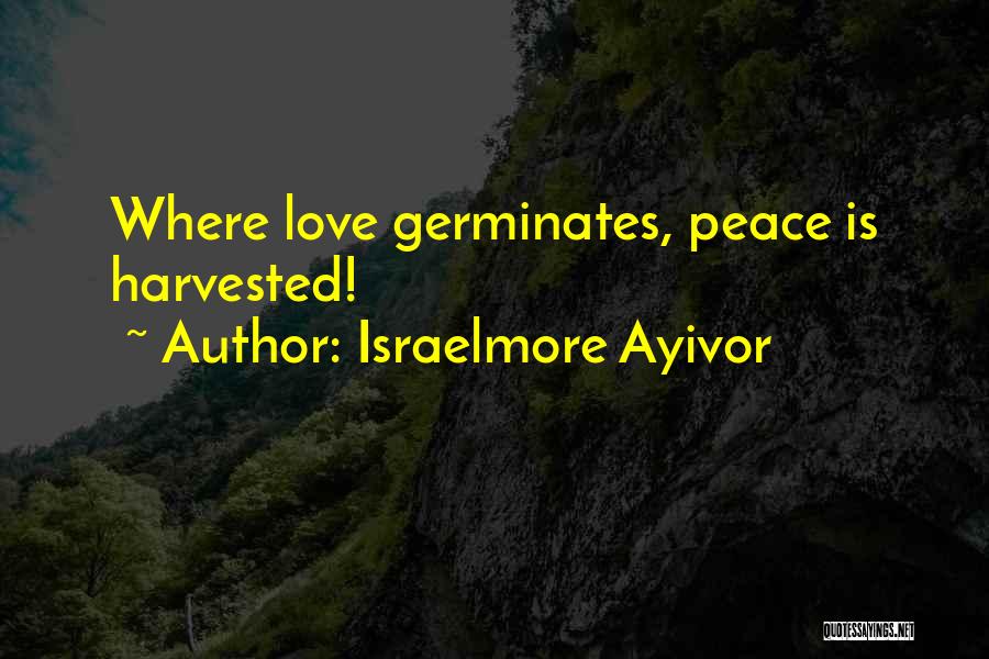 Israelmore Ayivor Quotes: Where Love Germinates, Peace Is Harvested!