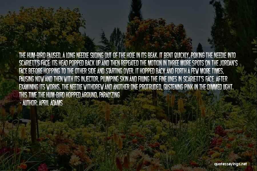 April Adams Quotes: The Hum-bird Paused, A Long Needle Sliding Out Of The Hole In Its Beak. It Bent Quickly, Poking The Needle