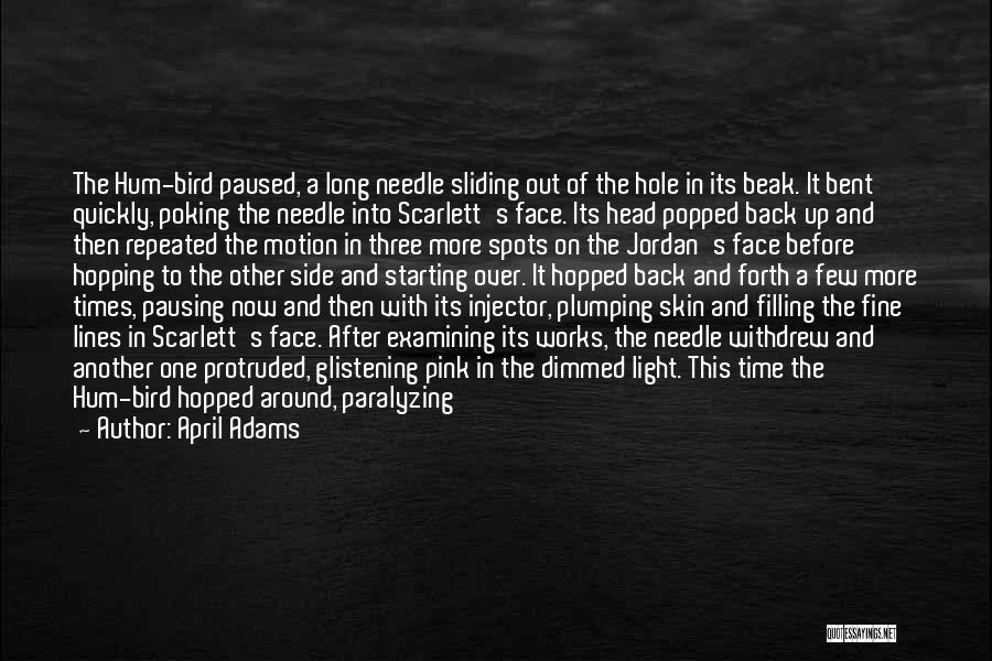 April Adams Quotes: The Hum-bird Paused, A Long Needle Sliding Out Of The Hole In Its Beak. It Bent Quickly, Poking The Needle