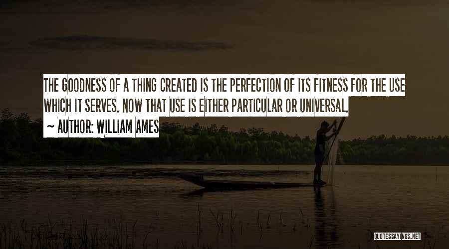 William Ames Quotes: The Goodness Of A Thing Created Is The Perfection Of Its Fitness For The Use Which It Serves. Now That