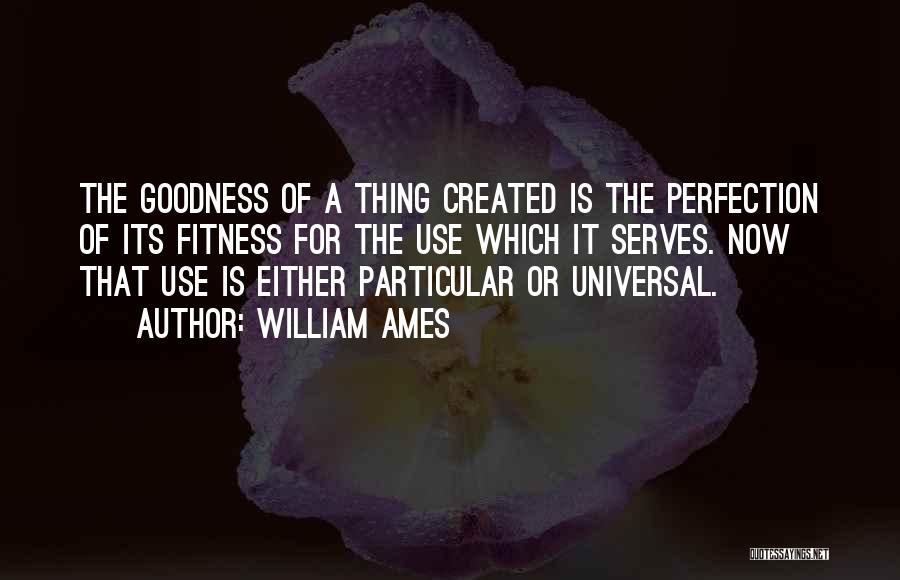 William Ames Quotes: The Goodness Of A Thing Created Is The Perfection Of Its Fitness For The Use Which It Serves. Now That