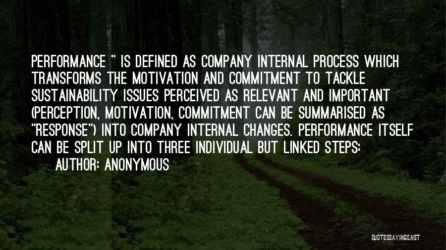 Anonymous Quotes: Performance Is Defined As Company Internal Process Which Transforms The Motivation And Commitment To Tackle Sustainability Issues Perceived As Relevant