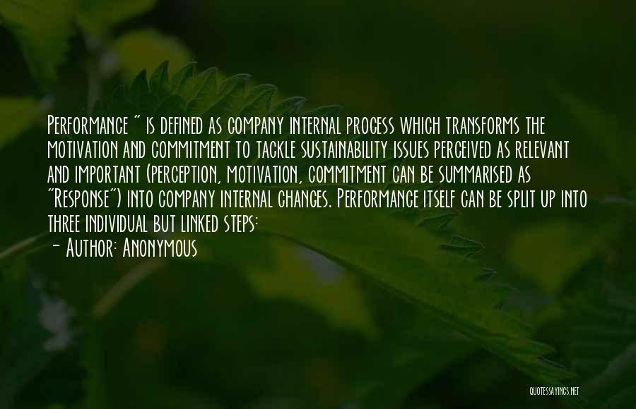 Anonymous Quotes: Performance Is Defined As Company Internal Process Which Transforms The Motivation And Commitment To Tackle Sustainability Issues Perceived As Relevant