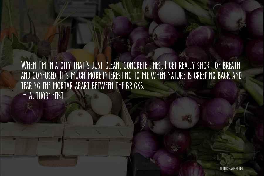 Feist Quotes: When I'm In A City That's Just Clean, Concrete Lines, I Get Really Short Of Breath And Confused. It's Much