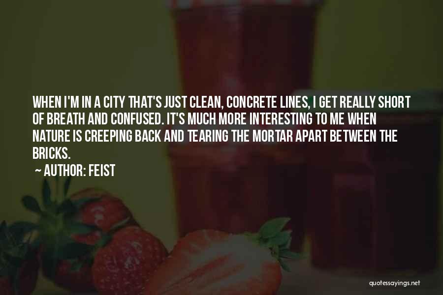 Feist Quotes: When I'm In A City That's Just Clean, Concrete Lines, I Get Really Short Of Breath And Confused. It's Much