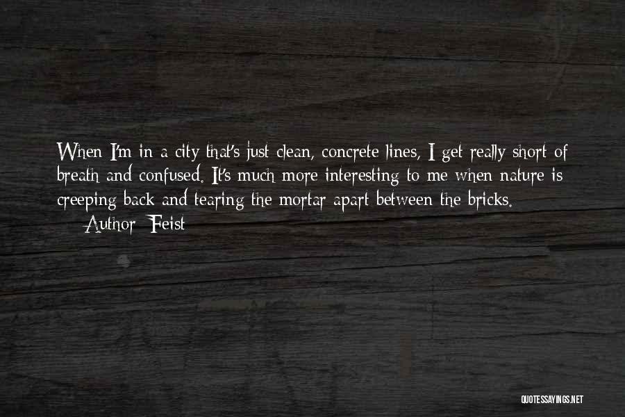 Feist Quotes: When I'm In A City That's Just Clean, Concrete Lines, I Get Really Short Of Breath And Confused. It's Much