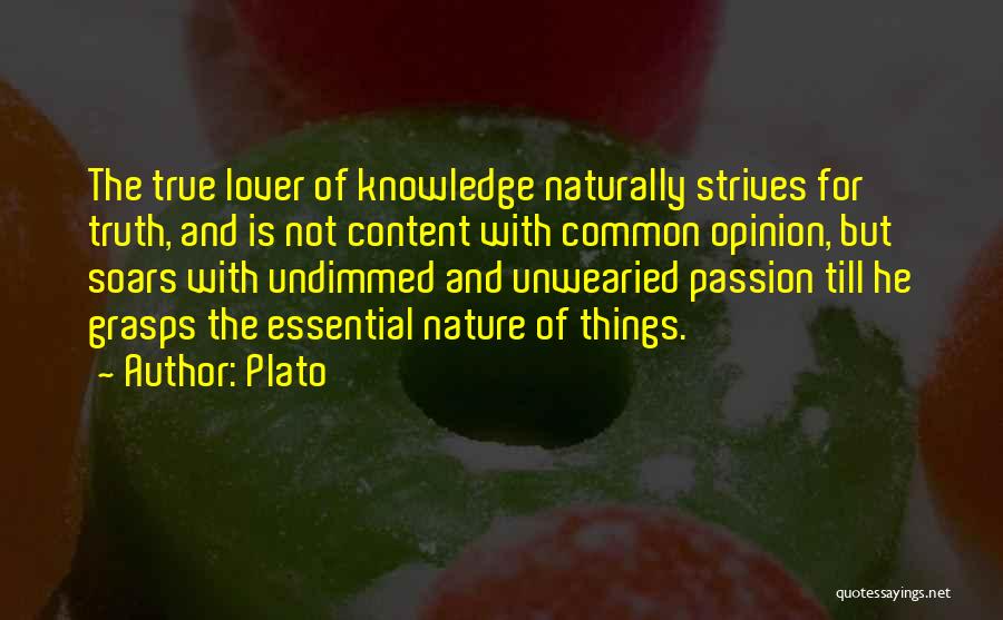 Plato Quotes: The True Lover Of Knowledge Naturally Strives For Truth, And Is Not Content With Common Opinion, But Soars With Undimmed