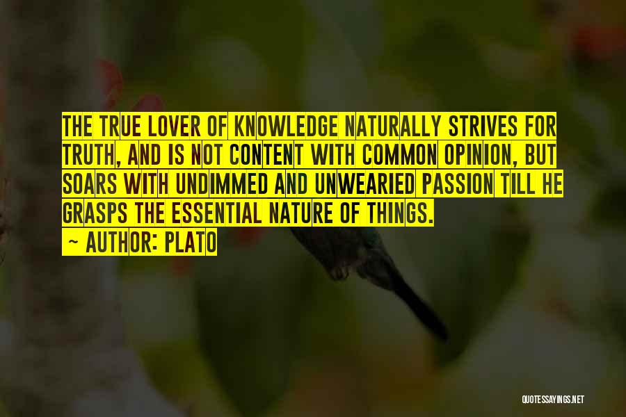 Plato Quotes: The True Lover Of Knowledge Naturally Strives For Truth, And Is Not Content With Common Opinion, But Soars With Undimmed