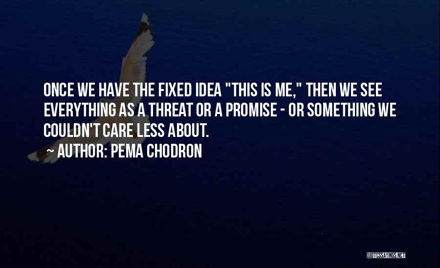 Pema Chodron Quotes: Once We Have The Fixed Idea This Is Me, Then We See Everything As A Threat Or A Promise -