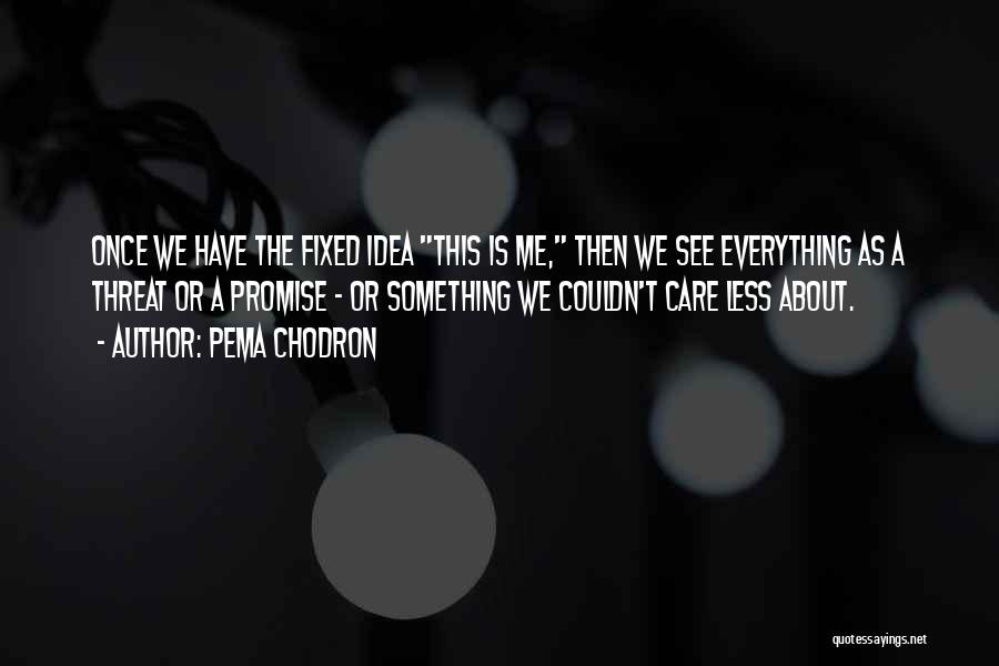 Pema Chodron Quotes: Once We Have The Fixed Idea This Is Me, Then We See Everything As A Threat Or A Promise -