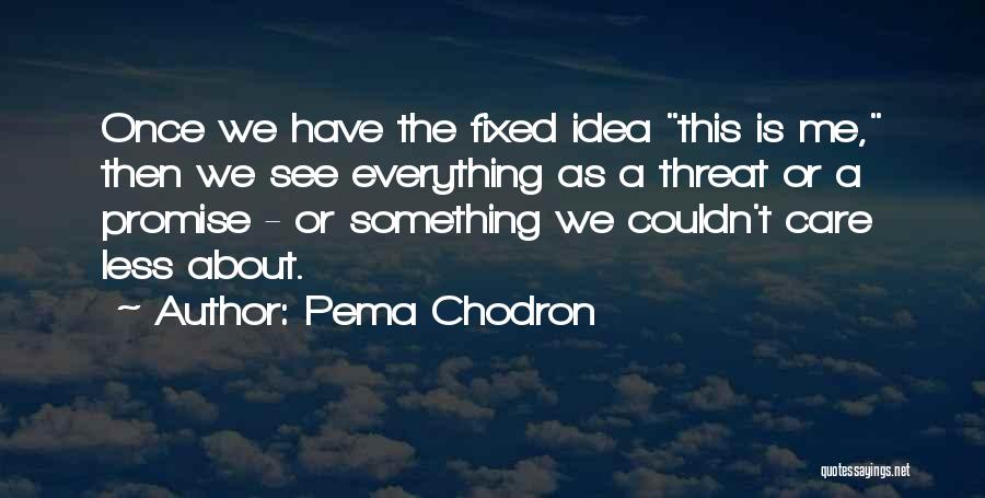 Pema Chodron Quotes: Once We Have The Fixed Idea This Is Me, Then We See Everything As A Threat Or A Promise -