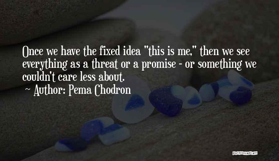 Pema Chodron Quotes: Once We Have The Fixed Idea This Is Me, Then We See Everything As A Threat Or A Promise -