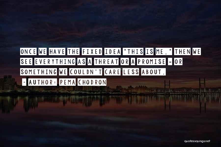 Pema Chodron Quotes: Once We Have The Fixed Idea This Is Me, Then We See Everything As A Threat Or A Promise -