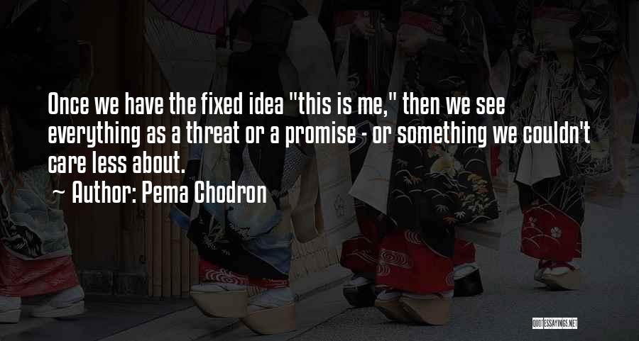 Pema Chodron Quotes: Once We Have The Fixed Idea This Is Me, Then We See Everything As A Threat Or A Promise -