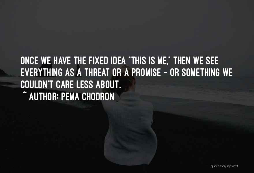 Pema Chodron Quotes: Once We Have The Fixed Idea This Is Me, Then We See Everything As A Threat Or A Promise -