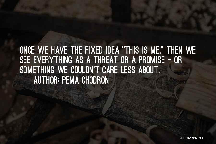 Pema Chodron Quotes: Once We Have The Fixed Idea This Is Me, Then We See Everything As A Threat Or A Promise -