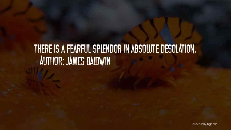 James Baldwin Quotes: There Is A Fearful Splendor In Absolute Desolation.