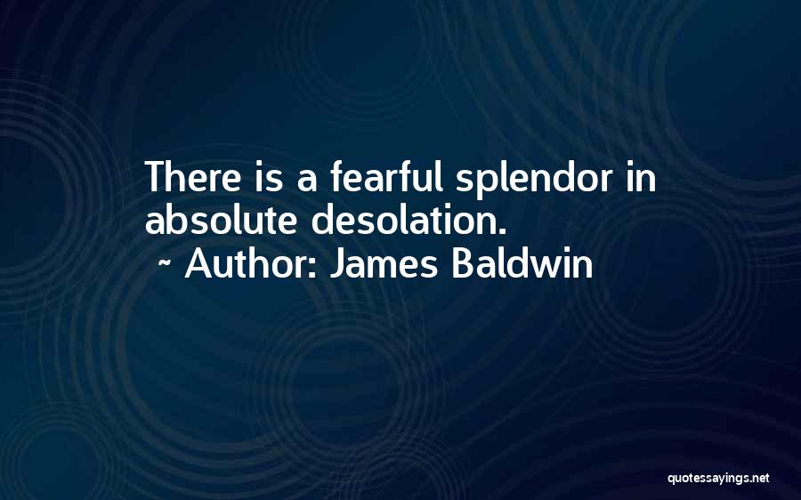 James Baldwin Quotes: There Is A Fearful Splendor In Absolute Desolation.