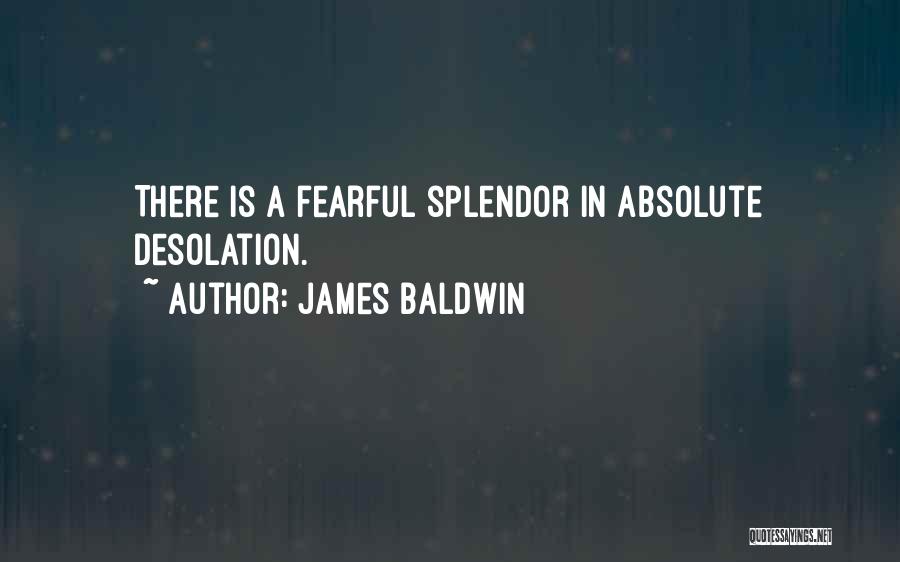 James Baldwin Quotes: There Is A Fearful Splendor In Absolute Desolation.