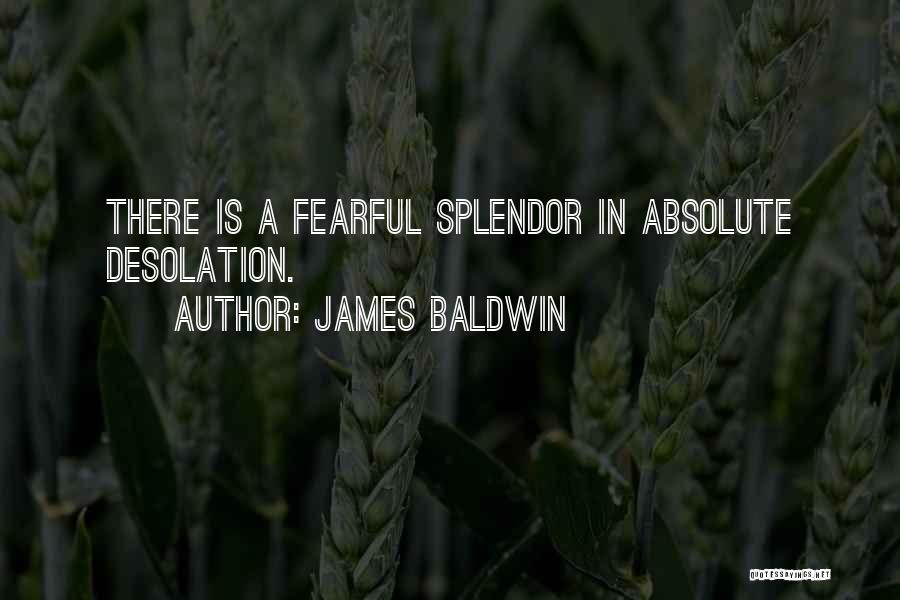 James Baldwin Quotes: There Is A Fearful Splendor In Absolute Desolation.