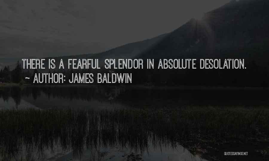 James Baldwin Quotes: There Is A Fearful Splendor In Absolute Desolation.