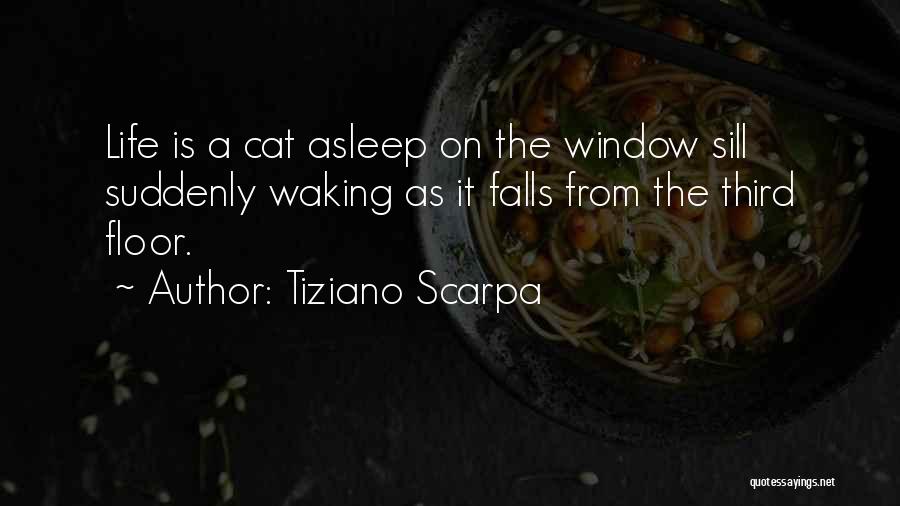 Tiziano Scarpa Quotes: Life Is A Cat Asleep On The Window Sill Suddenly Waking As It Falls From The Third Floor.