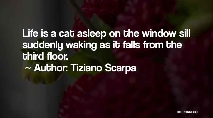 Tiziano Scarpa Quotes: Life Is A Cat Asleep On The Window Sill Suddenly Waking As It Falls From The Third Floor.