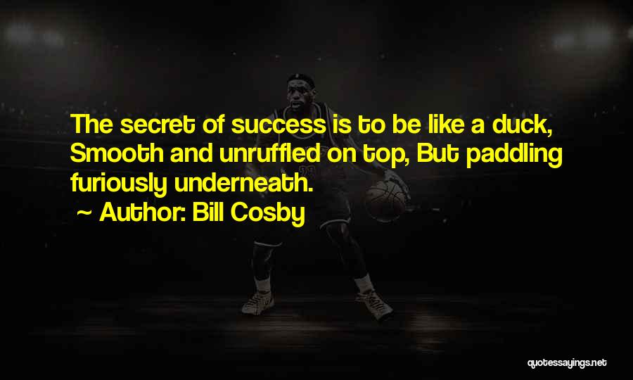 Bill Cosby Quotes: The Secret Of Success Is To Be Like A Duck, Smooth And Unruffled On Top, But Paddling Furiously Underneath.