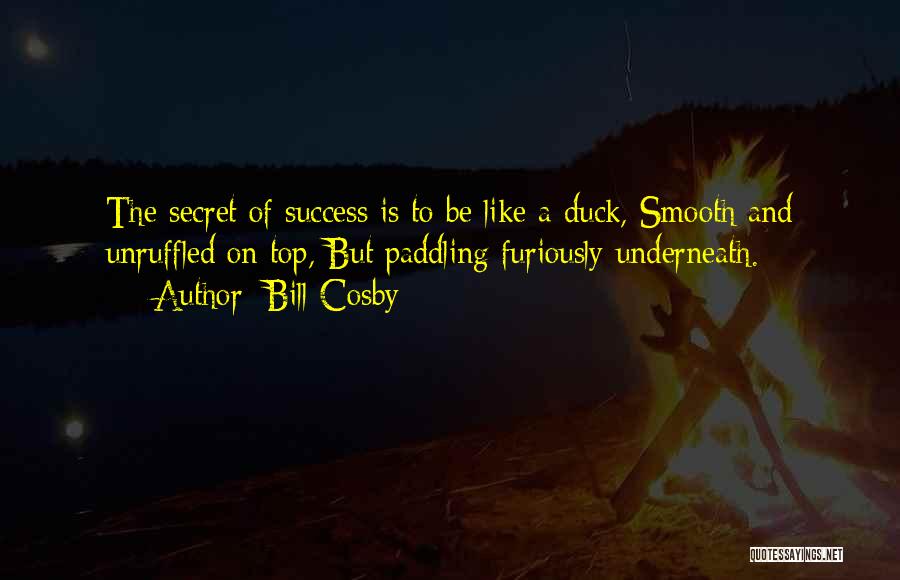 Bill Cosby Quotes: The Secret Of Success Is To Be Like A Duck, Smooth And Unruffled On Top, But Paddling Furiously Underneath.