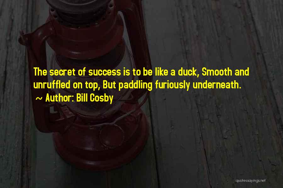 Bill Cosby Quotes: The Secret Of Success Is To Be Like A Duck, Smooth And Unruffled On Top, But Paddling Furiously Underneath.