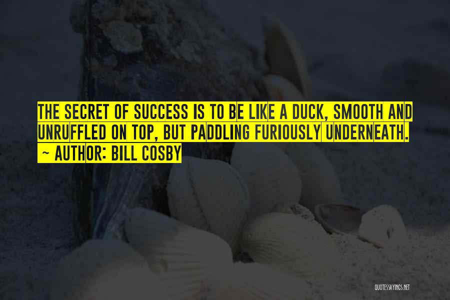 Bill Cosby Quotes: The Secret Of Success Is To Be Like A Duck, Smooth And Unruffled On Top, But Paddling Furiously Underneath.