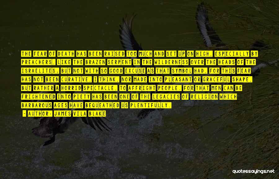 James Vila Blake Quotes: The Fear Of Death Has Been Raised Too Much And Set Up On High, Especially By Preachers, Like The Brazen