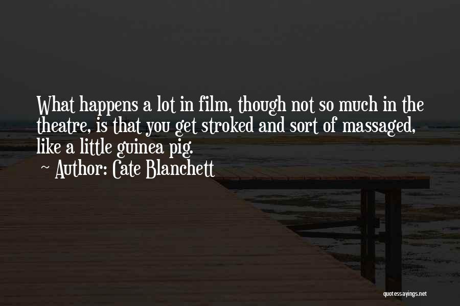 Cate Blanchett Quotes: What Happens A Lot In Film, Though Not So Much In The Theatre, Is That You Get Stroked And Sort