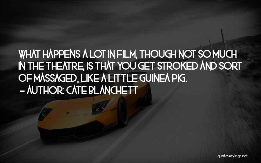 Cate Blanchett Quotes: What Happens A Lot In Film, Though Not So Much In The Theatre, Is That You Get Stroked And Sort