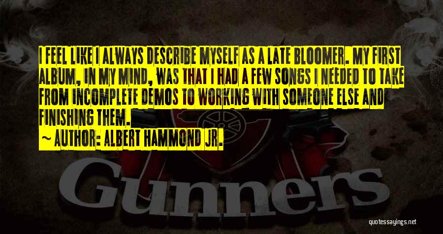 Albert Hammond Jr. Quotes: I Feel Like I Always Describe Myself As A Late Bloomer. My First Album, In My Mind, Was That I