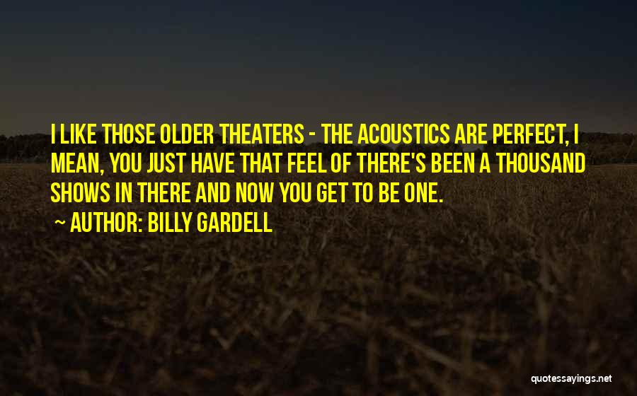 Billy Gardell Quotes: I Like Those Older Theaters - The Acoustics Are Perfect, I Mean, You Just Have That Feel Of There's Been