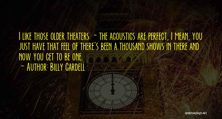 Billy Gardell Quotes: I Like Those Older Theaters - The Acoustics Are Perfect, I Mean, You Just Have That Feel Of There's Been