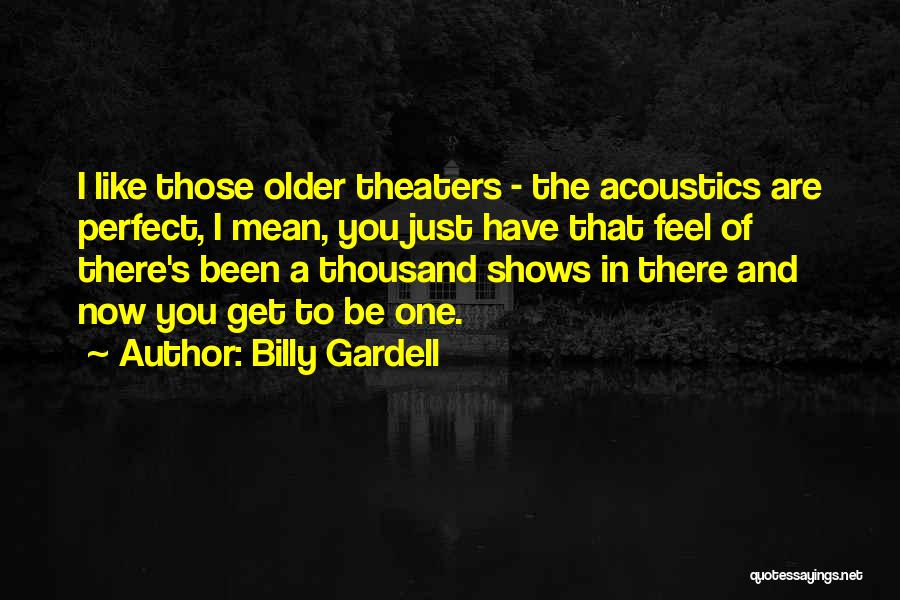 Billy Gardell Quotes: I Like Those Older Theaters - The Acoustics Are Perfect, I Mean, You Just Have That Feel Of There's Been