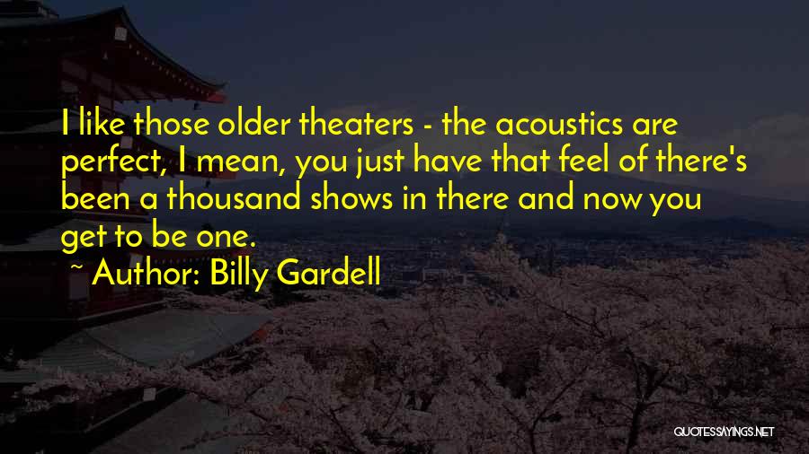 Billy Gardell Quotes: I Like Those Older Theaters - The Acoustics Are Perfect, I Mean, You Just Have That Feel Of There's Been