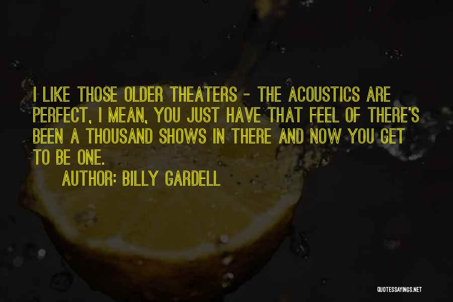 Billy Gardell Quotes: I Like Those Older Theaters - The Acoustics Are Perfect, I Mean, You Just Have That Feel Of There's Been