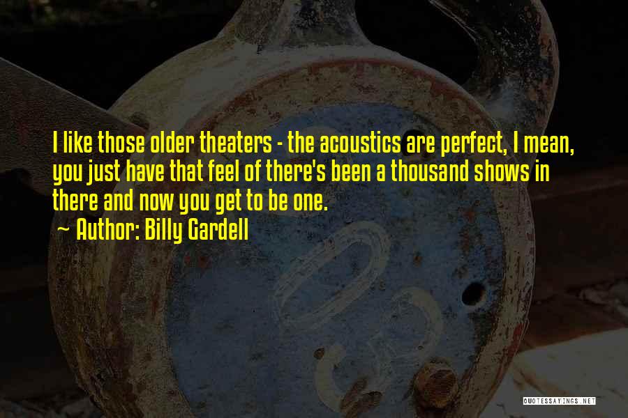 Billy Gardell Quotes: I Like Those Older Theaters - The Acoustics Are Perfect, I Mean, You Just Have That Feel Of There's Been