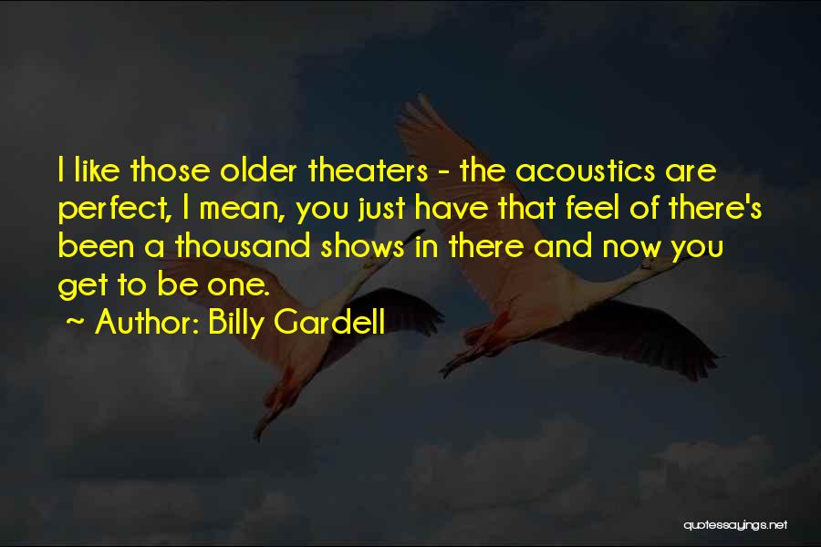 Billy Gardell Quotes: I Like Those Older Theaters - The Acoustics Are Perfect, I Mean, You Just Have That Feel Of There's Been