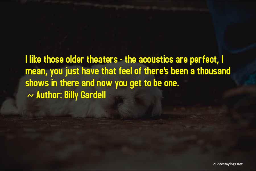 Billy Gardell Quotes: I Like Those Older Theaters - The Acoustics Are Perfect, I Mean, You Just Have That Feel Of There's Been