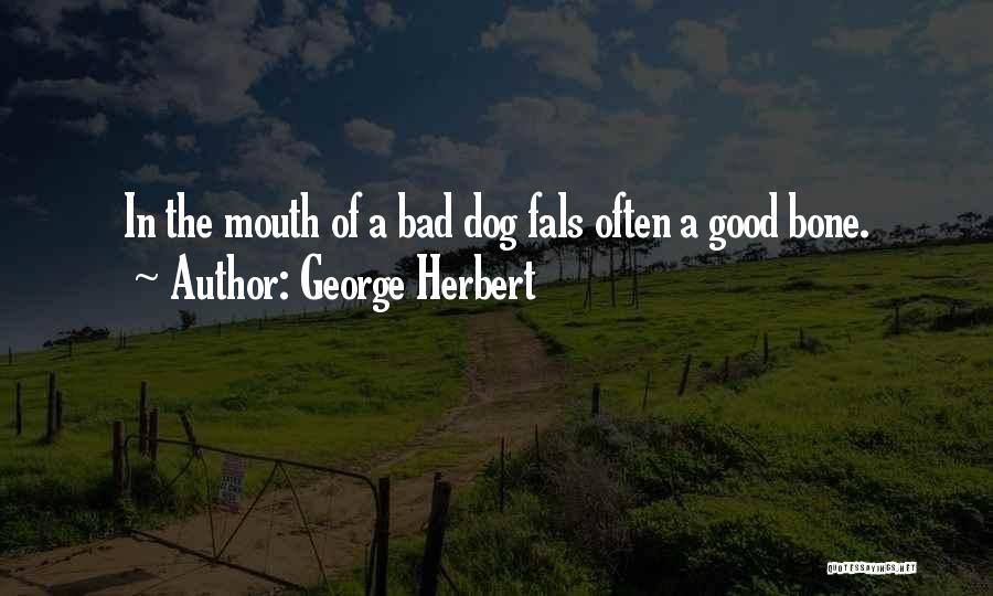 George Herbert Quotes: In The Mouth Of A Bad Dog Fals Often A Good Bone.