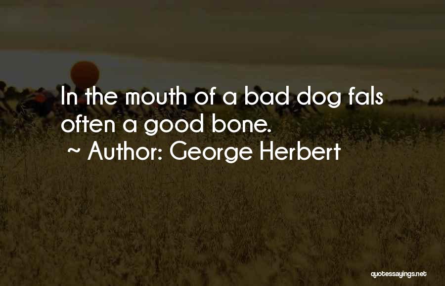 George Herbert Quotes: In The Mouth Of A Bad Dog Fals Often A Good Bone.