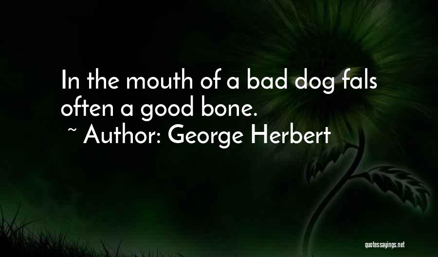 George Herbert Quotes: In The Mouth Of A Bad Dog Fals Often A Good Bone.