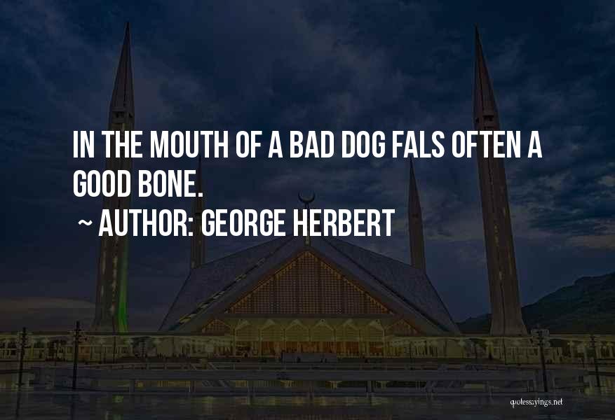 George Herbert Quotes: In The Mouth Of A Bad Dog Fals Often A Good Bone.